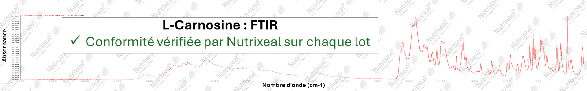 Spectre FTIR de la L-carnosine